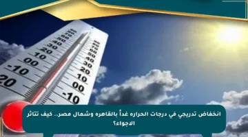 انخفاض تدريجي في درجات الحرارة غداً بالقاهرة وشمال مصر.. كيف تتأثر الأجواء؟